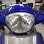 קלנועיות אמה כחול