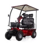 קלנועית עדן | Eden