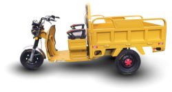 טוק טוק | ריקשה | קרגו