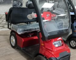 קלנועית זוגית אפיקים , 4 גלגלים