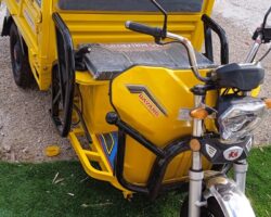 ריקשה דרגון יד 2 חדשה לגמרי